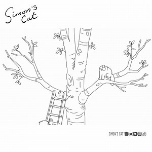 1.4M views · 62K reactions | The only way up is down! | Simon's Cat | Facebook