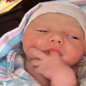 416K views · 569 reactions | These are so cute chubby babies  | Shopping Online - Clothes | Facebook