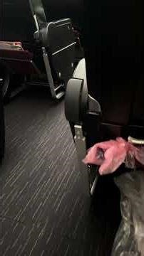 JAL機内放送 announcement