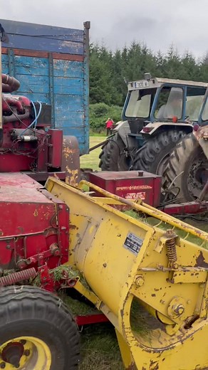 Ford 5000 harvesting with mounted engine with a Ford 7000 hauling grass #ford #ford7000 #ford5000 #enginemounted #forager #neeholland #agritok #farmtok #grass #silage #ireland #farming #agriculture