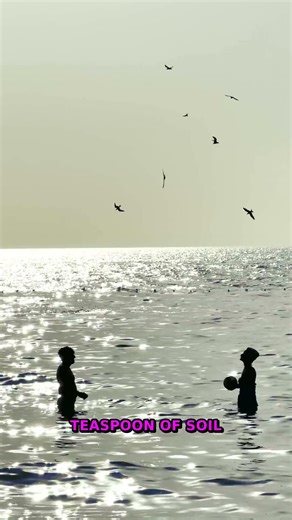 The Tiny Ecosystems Explained | 75% Of Life On Earth