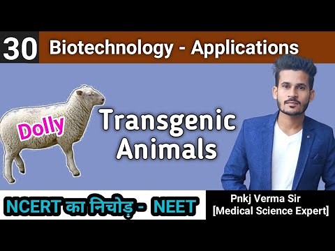 Transgenic animals | Dolly Sheep | Rosie Cow | Biotechnology | NEET 2021