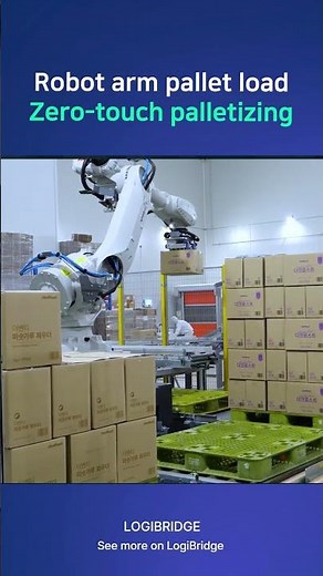 Automated Palletizing Robot & Conveyor System for Unmanned Pallet Output