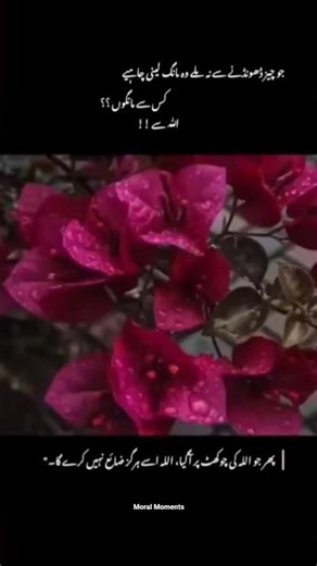 Ask Allah🤍|Islamic shorts #youtubeshorts #shorts #shortvideo #motivation #islam #islamic#short#faith