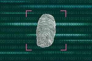 61 Organizations Tell World Governments to Get the Hell Off Encryption's Back