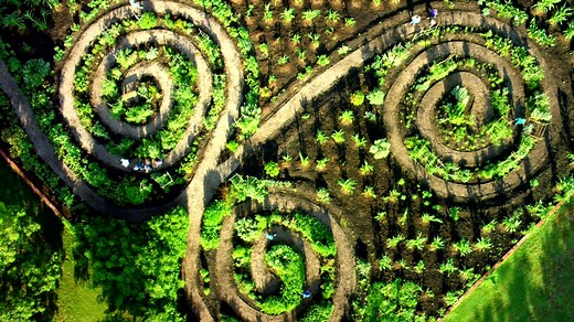 Start Your Adventure | Chickasaw Cultural Center