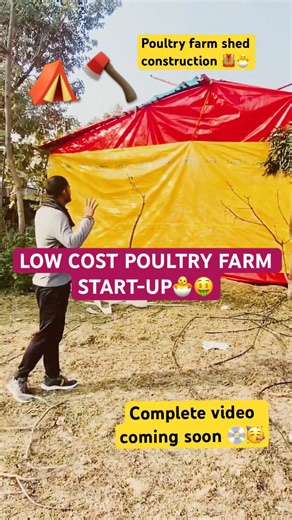 🐣Biggest poultry farm in India #broilerchicken #poultryfarming #murgipalan