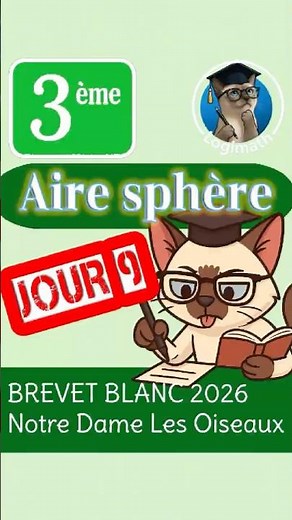 🔥 Préparation Brevet Blanc (3ème) — JOUR 8 - Aire Sphère ✏️📘#maths #Aire #brevet #development