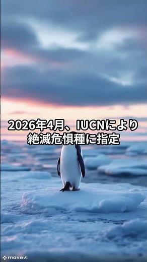 【実は知らない】『ペンギンの雑学』「コウテイペンギン」