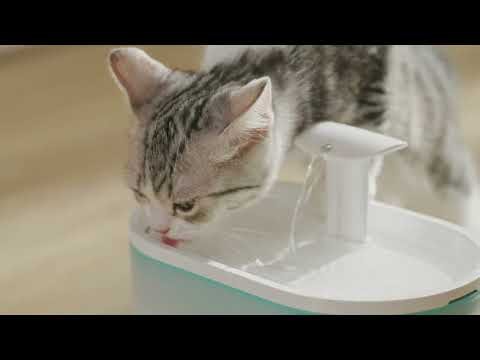 WF002: Discover the Petlibro Capsule Water Fountain