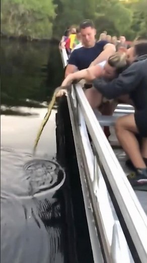 Calm Group Boat Trip Turns Into A Snake Close Call