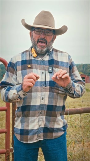 153K views · 3.9K reactions | One of the best parts about owning cattle is just going out into the pasture and watching them enjoy life! For me, it makes all the hard work worth it. Don’t forget to take a moment every once in a while to slow down and enjoy the fruits of your labor! #workingcattle #newfarm #cattle #countrylife #ranchlife #aggear | Rutherford Cattle | Facebook
