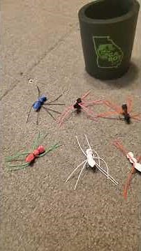 Ga Boy Swamp Spider...the panfish killer!