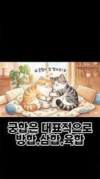 사주 궁합 보는법을 알아보자!! #사주 #사주팔자 #궁합 #명리학 #삼합 #방합 #육합 #원진