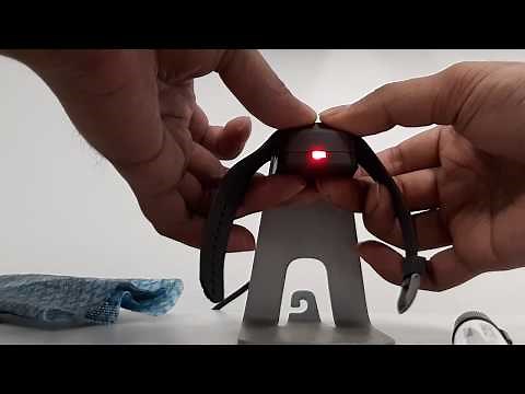 Actigraphy data Analysis | Philips Actiwatch 2