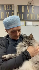 59K views · 6K reactions | The love we share with our family and friends transcends anything that can be explained in words. Everyone needs to know they are loved. Please give hugs willingly and with genuine warmth and compassion this holiday season ⭐️ | Professor Noel Fitzpatrick | Facebook