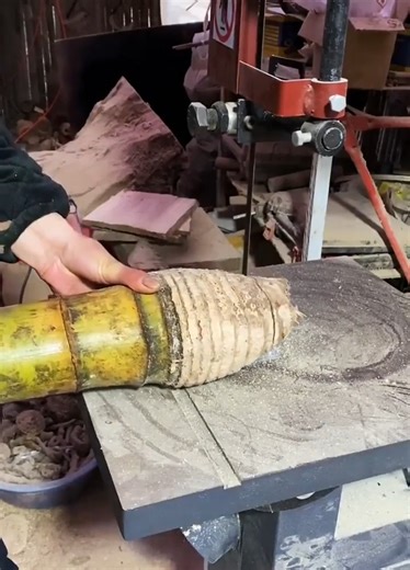 Amazing creative ideas with Bambooo | SportsAbc