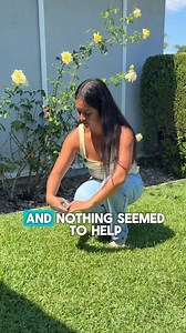 Watch Jiminy's Cravin' Cricket Dry Dog Food, Sensitive Stomach on Amazon Live