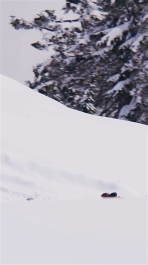 wait that's not what snowboarding means...🤔 🛹: Ryan Decenzo | Red Bull