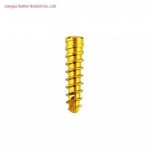 [Hot Item] Orthopedic Surgical Screw 2.4mm Cross Fit Locking Screw Skull Screw