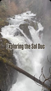 Beautiful December afternoon to explore the Sol Duc! Featured here: Sol Duc Falls, Ancient Groves, and Salmon Cascades. The river has calmed down a bit, but it was still mesmerizing to watch the water. | Olympic Hiking Co.
