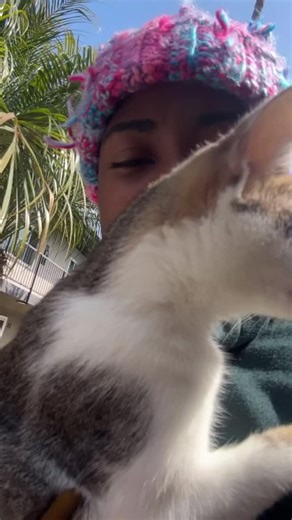 Kris Harbor on TikTok