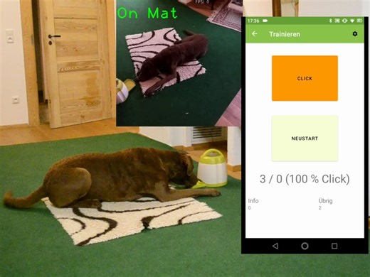 DogOnMat – Train your dog with AI and Positive Reinforcement @Raspberry_Pi #PiDay #RaspberryPi