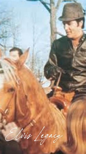 One of the rarest cars Elvis Presley ever owned now sits in Volo, Illinois — a 1974 custom-built Cadillac DeVille Station Wagon, a model Cadillac never actually made. Elvis had it specially ordered through Madison Cadillac, where the sedan was converted into a full station wagon exactly the way he wanted it. He chose it for practical reasons too — it gave him more room to haul luggage and equipment between Graceland and the airport when he was touring nonstop. The car stands out instantly with i