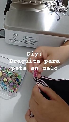 diy braguita, calzón o panty para perrita en celo. #dog #mascotas #perritos #celo #pets #perros #diy