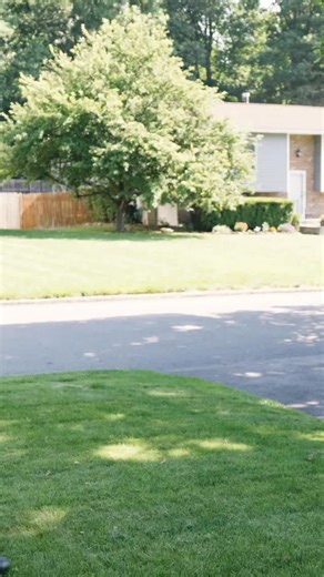 Comment Course! Then Practice…. #guitar #guitarplayer #guitarlessons #guitarteacher #learnguitar #electricguitar #playguitar #howtoplayguitar #guitaressentials #beginnerguitarcourse | Guitar Essentials