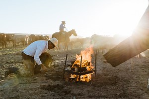 Cattle Brandings Then and Now