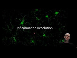 How does the body end the inflammatory process? The resolution of inflammation.