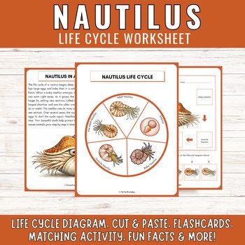 Ocean Animal Nautilus Life Cycle | Marine Science Unit Study & Fun Facts