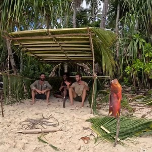 31K views · 508 reactions | Can We Build A Survival Shelter In Time?  | Back 2 Basics Adventures | Facebook