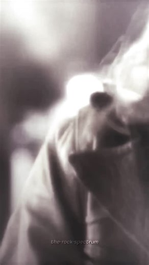 TRS on Instagram: "I REMEMBER YOU - SKID ROW(1989) "I Remember You" is one of Skid Row's most iconic power ballads, released on November 18, 1989, as the third single from their self-titled debut album. Written by band members Rachel Bolan and Dave "The Snake" Sabo, the song became a fan favorite for its heartfelt lyrics, soaring vocals by Sebastian Bach, and melodic guitar work. The track tells a story of lost love and nostalgia, with an emotional delivery that resonated with many listeners. Fe