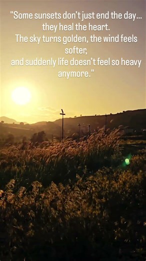 day 5 Some sunsets don’t just end the day… they heal the heart. 🌾✨#challenge