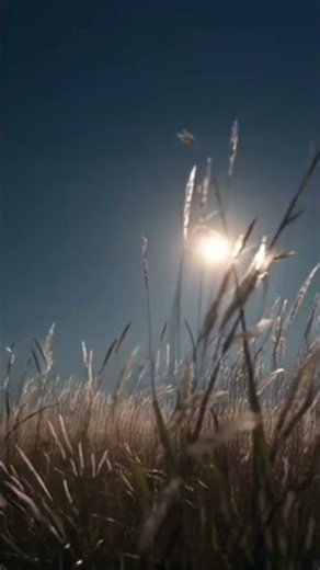 Dance Beneath The Willow Moon 🌙 | Classic Country Waltz Love Song