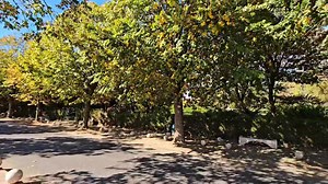 9K views · 569 reactions | Lacul Belona Eforie Nord! | Eforie Online | Facebook