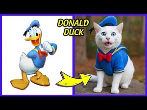 Mickey Mouse Characters as Cats in Real Life + Guess the Voice Quiz ~ Daisy Duck, Donald Duck...