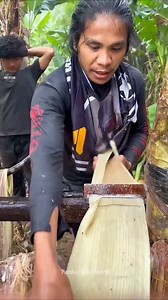 34K views · 1.5K reactions | Abaca Tree Fiber #factsdaily #facts #amazingfacts #knowledge | Pankaj Giri Facts | Facebook