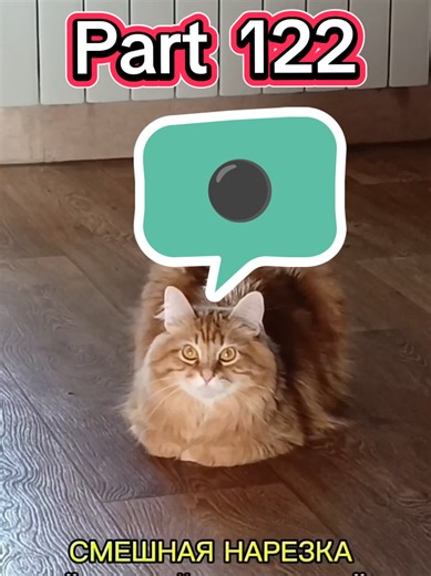 Hilarious Moments with Random People Compilation