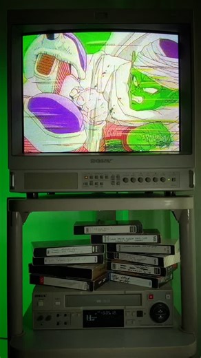 Bourbons End on Instagram: "PICCOLO VS FRIEZA (2ND FORM) _____________________________ #anime #dragonballz #vhs"