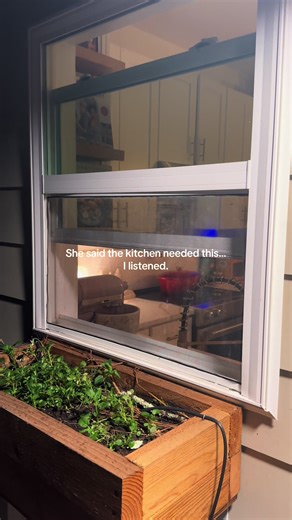 Essential Window Screen Upgrade for Your Kitchen