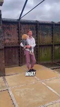 Million-dollar water tower house renovation bussiness idea #house #renovation #landscaping #cleaning