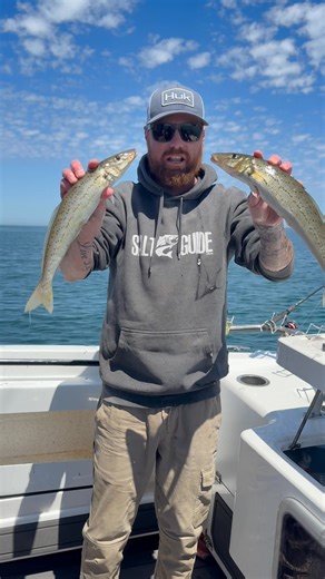 17K views · 179 reactions | LONG WEEKEND LOADING Red’s been out...