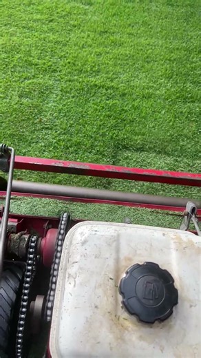 Reel mowing Citrazoy zoysia in Maitland Florida December 2025 #zoysia #reelmower #orlando #florida