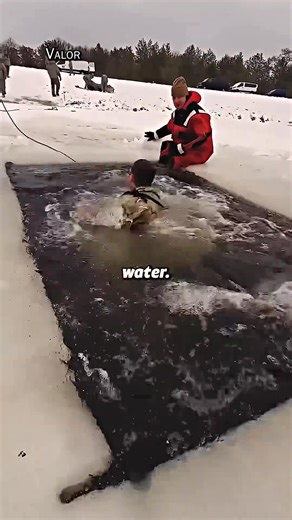 Most Toughest Navy Seal Training | Tactical Beef