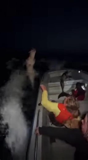 Siren Mermaids Chasing a Boat: A Thrilling Encounter