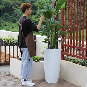 [Hot Item] Large Painting Vertical Plastic Flowerpot for Home Deocaration