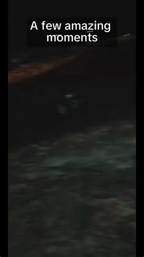 eva bless charming (@evacharming_)’s videos with original sound - King IMPACK